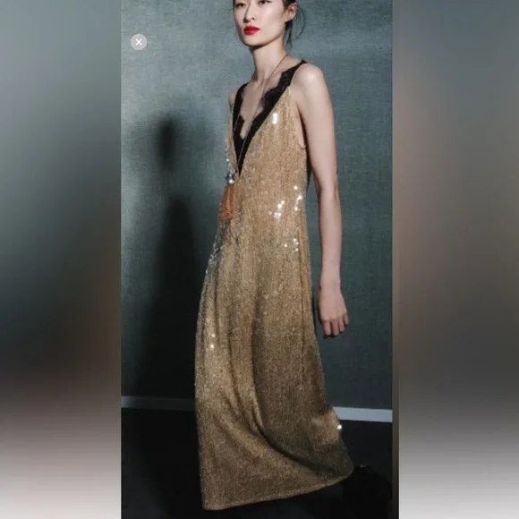 Zara Sequined Gold and Black Lace Dress NWT - Picture 4 of 9